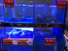 -小龍鳳·港式海鲜打边炉(沙湖路店)