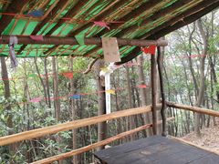 -南山植物园