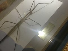 -上海昆虫博物馆
