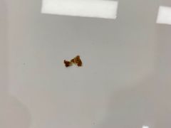 -F19·圣科·BOP·超佩贴膜(亦庄店)