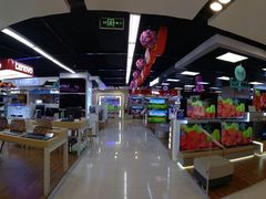 -苏宁易购(Suning Elec大连胜利广场店)