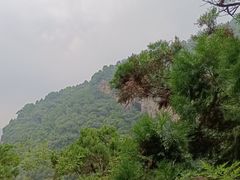 -北京上方山国家森林公园