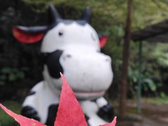 -田野绿世界
