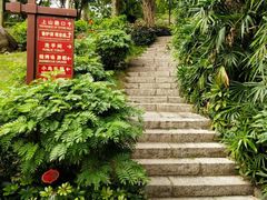 -景山公园