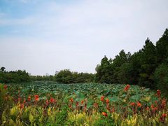 -艾溪湖湿地公园