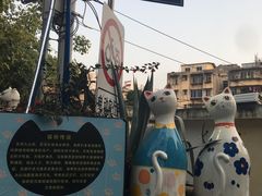 -猫咪博物馆(顶澳仔猫街店)