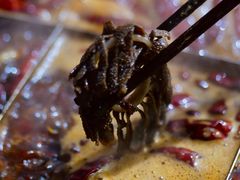 -铜元老码头鳝鱼火锅