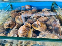 -江杨农产品批发市场