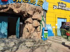 -朝阳公园游乐园