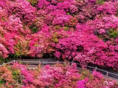 -木兰云雾山