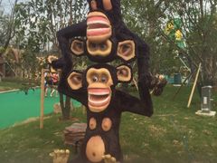 -苏州乐园森林水世界