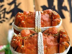 -欢乐蟹庄·精品农家乐(阳澄湖莲花岛店)
