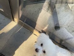 -The Rug Cafe(王府中环店)