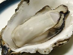 -大富蚝乌东哥饭店·石锅鱼杂·柠檬鸭(革新路店)