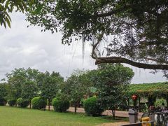 -侯臣咖啡文化村