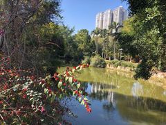 -人民公园(罗湖区)