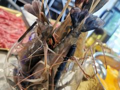 -琥珀川糟粕醋火锅(慈云寺店)