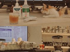 -玫瑰咖啡(中山六路店)