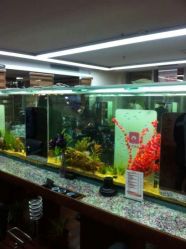 android_upload_pic-小左美发