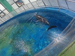 -海合安武汉极地海洋公园