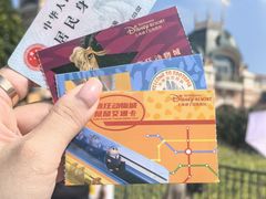 -上海迪士尼度假区