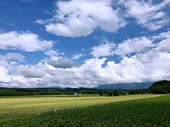 -富田农场