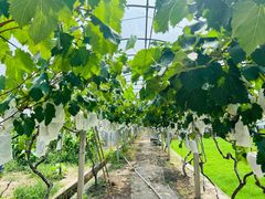 -美家乐农庄·露营·团建(大治路店)