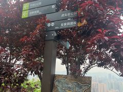 -龙泉洞(沙坪坝区)