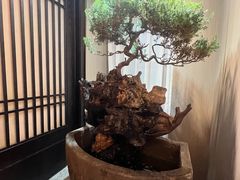 -忆江南·临江鱼馆