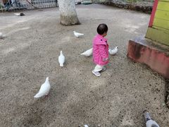 -荆州中山公园动物园