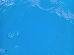 -杭州浪浪浪水公园