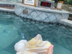 -碧水湾温泉