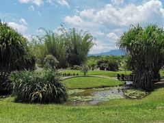 -中国科学院西双版纳热带植物园