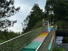 -长沙黑麋峰国家森林公园