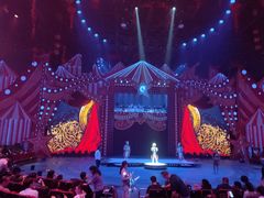 -珠海横琴长隆《卡卡虎奇遇记》