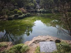 -秋霞圃