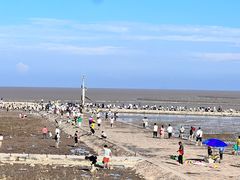 -南汇嘴观海公园