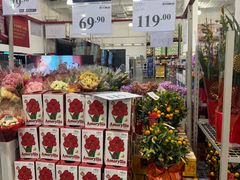 -山姆会员商店(亦庄创意生活广场店)