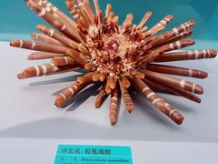 -天津自然博物馆