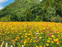 -贵阳市花溪国家城市湿地公园