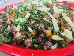 -东吴霸王兔(松青路店)