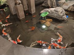 -梅园国际大酒店·自助餐厅(光明港店)