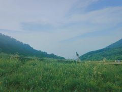 -白草畔自然风景区