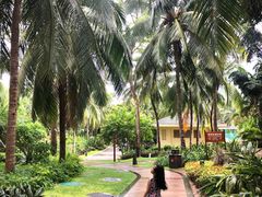 -三亚亚龙湾天域度假酒店