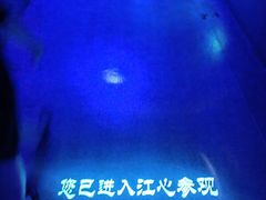 -白鹤梁水下博物馆