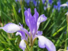 -天津东丽湖风景区