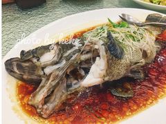 龙胆石斑-頂好酒家·经典粤菜(海信广场店)