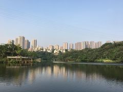 -重庆彩云湖湿地公园