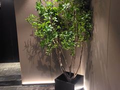 -华夏良子·足道SPA艾灸(王府井店)