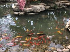 -南通洲际绿博园